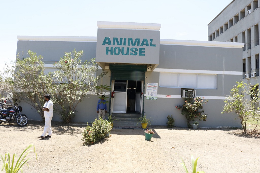 Animal House Front View